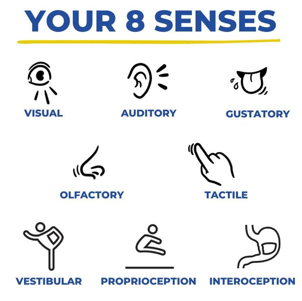 Empowering Children with Sensory Challenges: The Impact of Sensory Swings on Hidden Senses