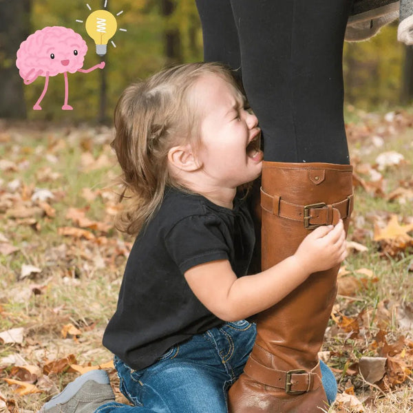 Meltdown's and the brain