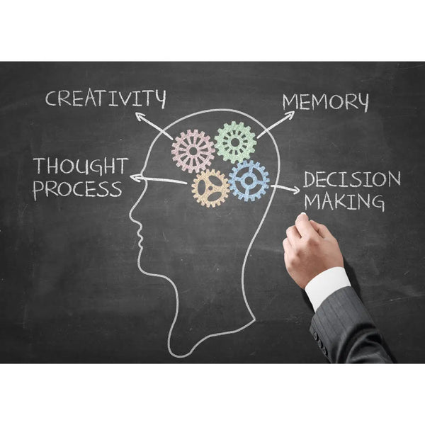 Sensory Processing Disorder and Executive Functioning: Strategies for Improved Functionality